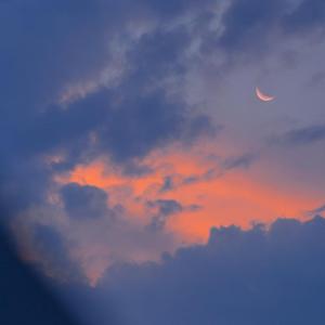 喜欢爷俩一起弄我
